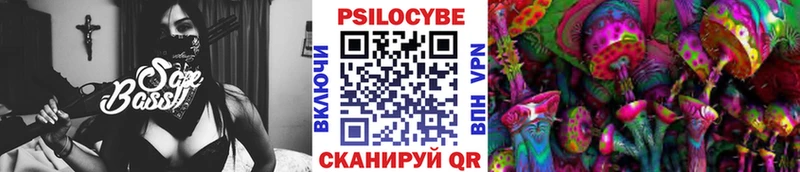 Купить  Высоцк  Псилоцибиновые грибы мицелий 